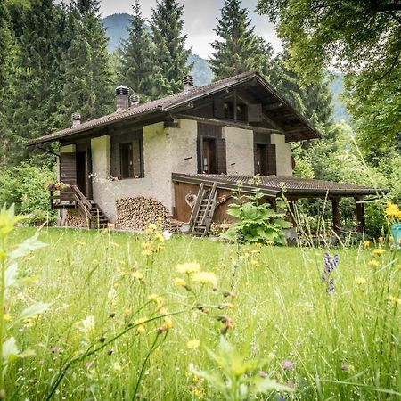Chalet Silenthia Villa Lenzumo di Concei Kültér fotó