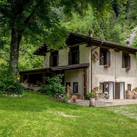 Chalet Silenthia Villa Lenzumo di Concei Kültér fotó