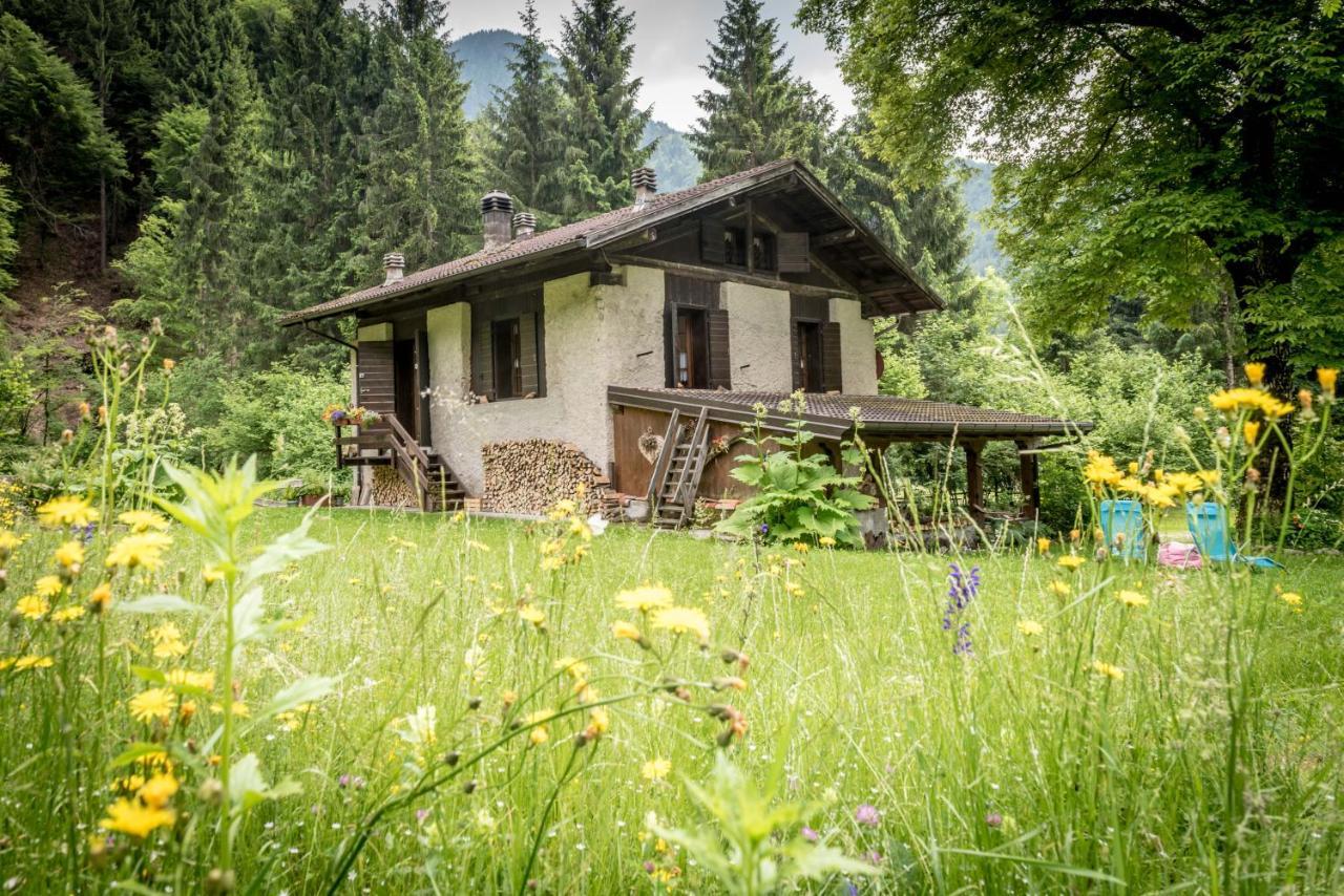 Chalet Silenthia Villa Lenzumo di Concei Kültér fotó